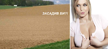 Заголовок