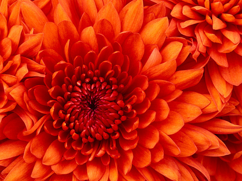 sdfsdfsdfsdfsdf. Фото 8